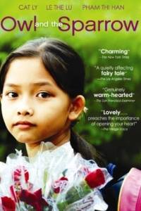 Cú Và Chim Se Sẻ