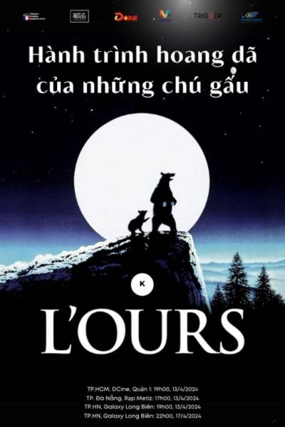 Hành Trình Hoang Dã Của Những Chú Gấu